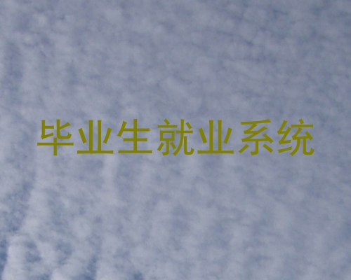 毕业生就业系统