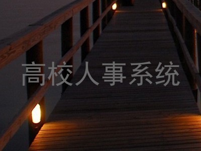 高校人事系统