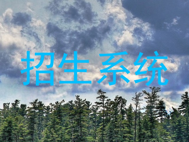 招生系统