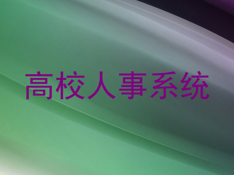 高校人事系统