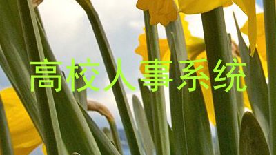 高校人事系统