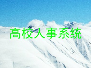 高校人事系统