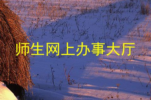 师生网上办事大厅