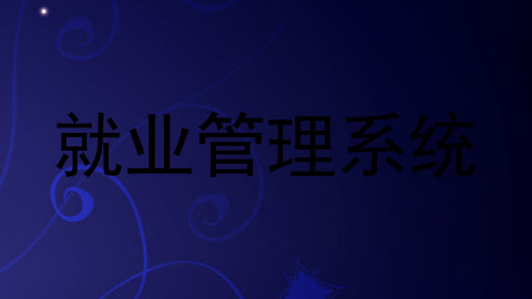 就业管理系统