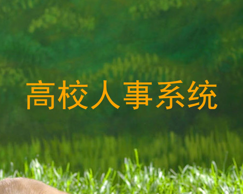高校人事系统