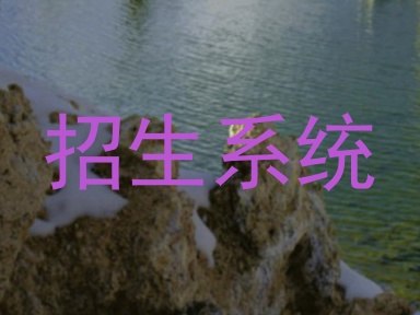 招生系统