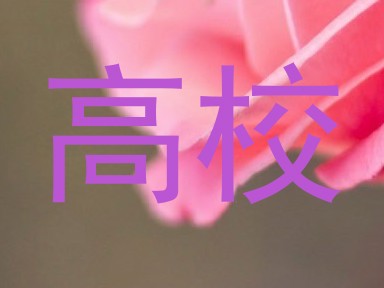 高校