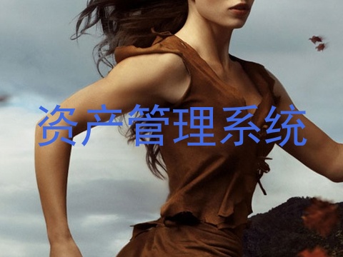 资产管理系统