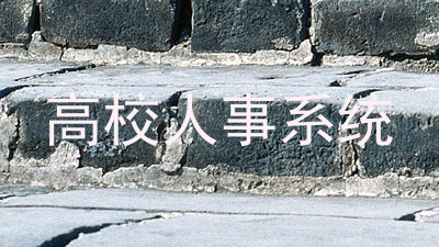 高校人事系统