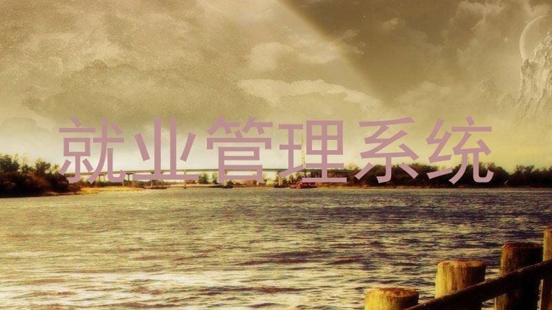 就业管理系统
