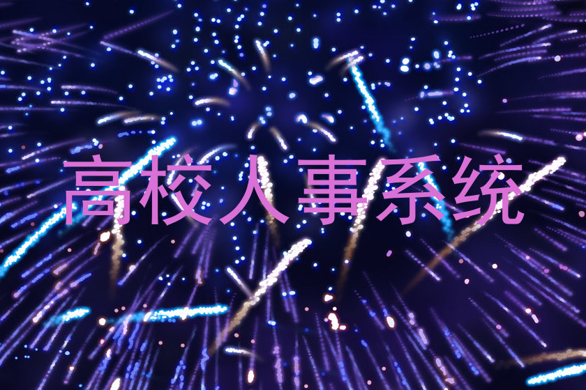 高校人事系统