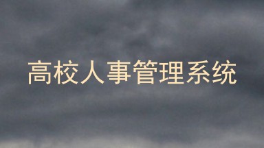 高校人事管理系统