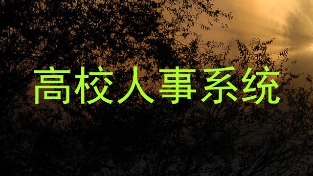 高校人事系统