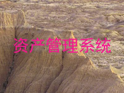 资产管理系统