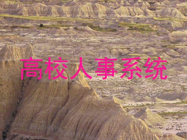 高校人事系统