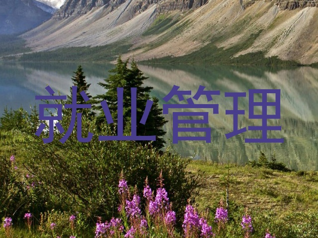 就业管理
