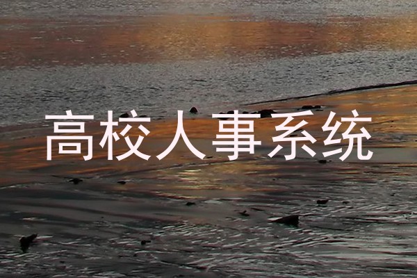 高校人事系统