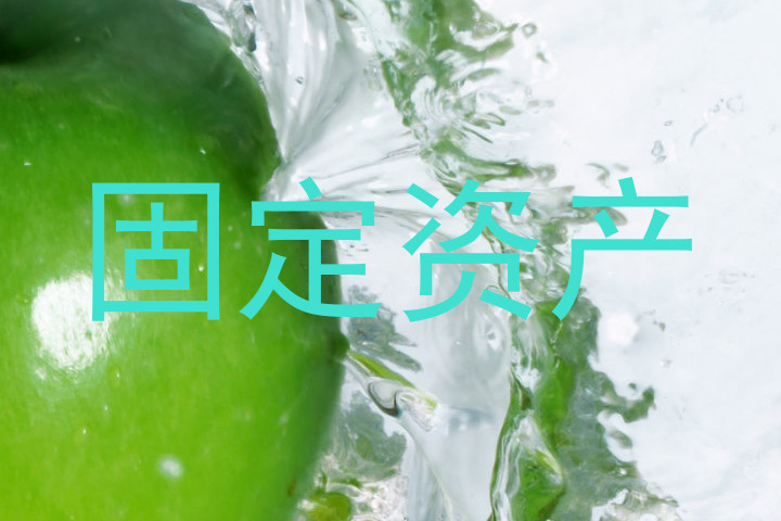 固定资产