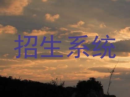 招生系统