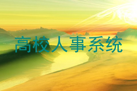 高校人事系统