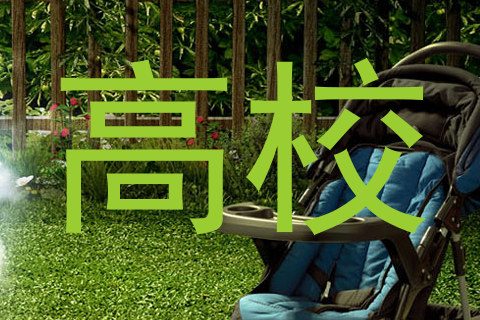 高校