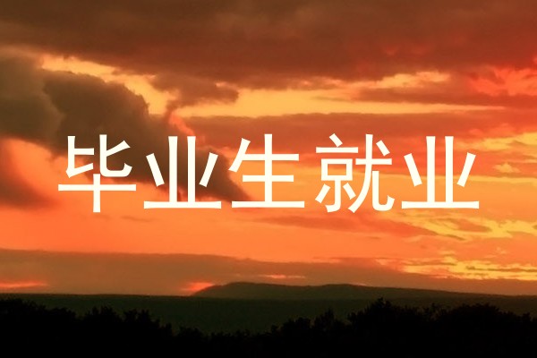 毕业生就业