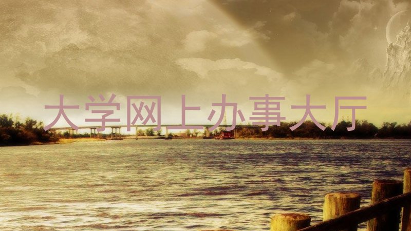 大学网上办事大厅