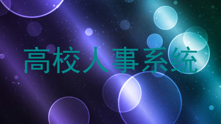 高校人事系统