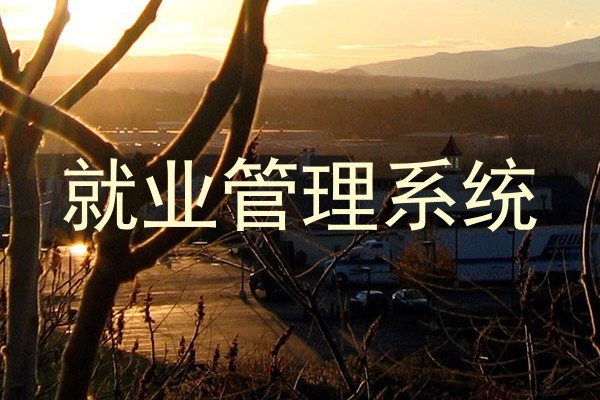 就业管理系统