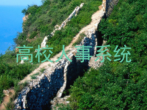 高校人事系统