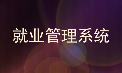就业管理系统
