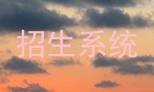 招生系统