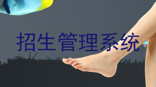 招生管理系统