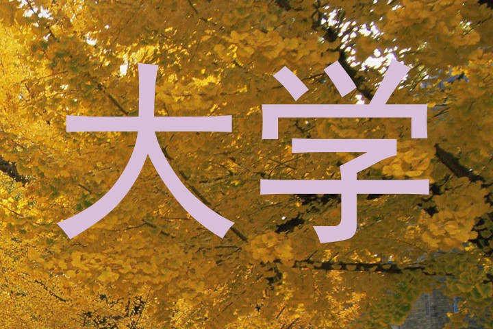大学