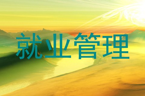 就业管理
