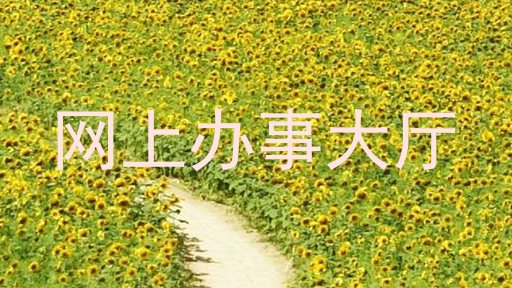 网上办事大厅