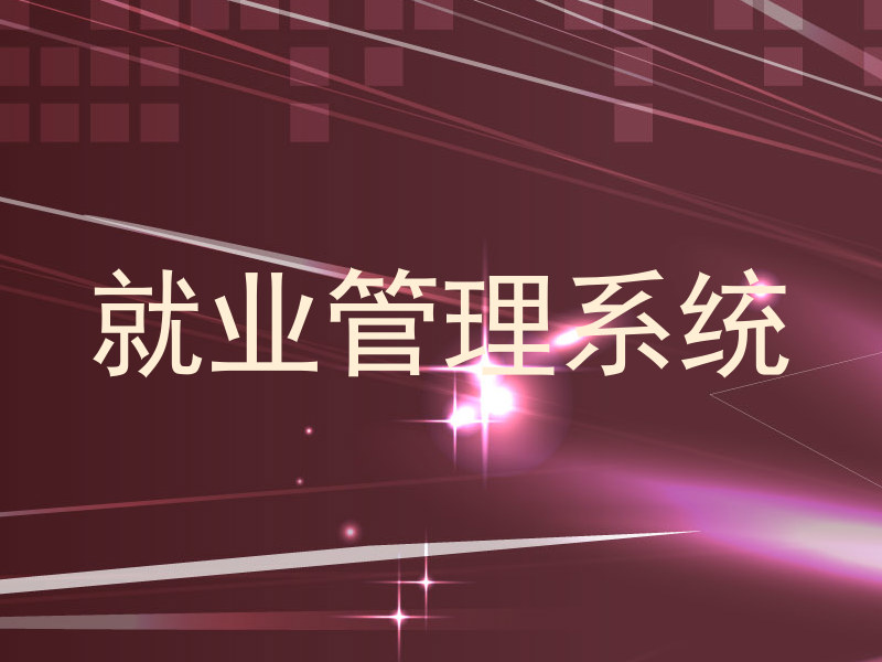 就业管理系统