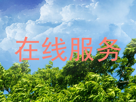 在线服务