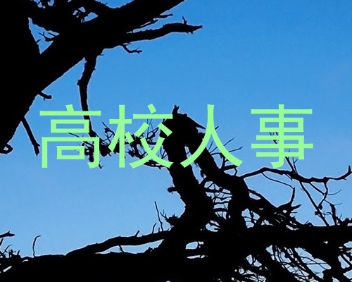 高校人事