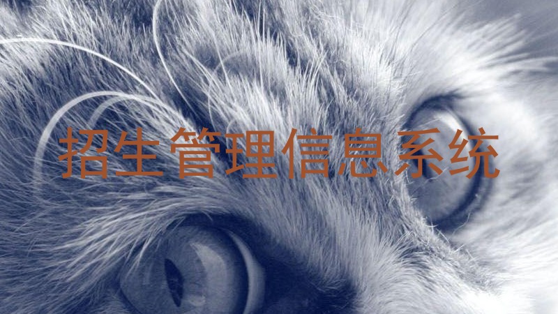 招生管理信息系统
