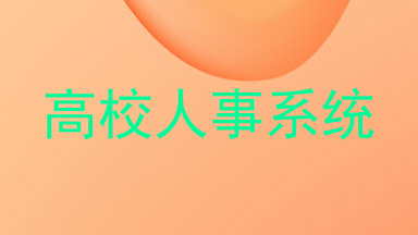 高校人事系统