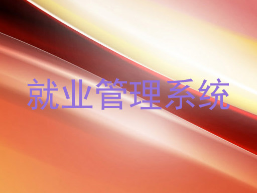 就业管理系统