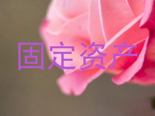 固定资产