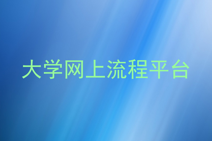 大学网上流程平台