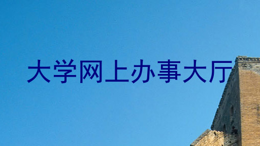 大学网上办事大厅