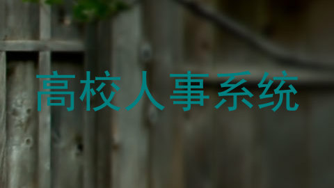 高校人事系统