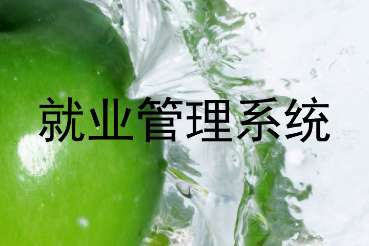 就业管理系统