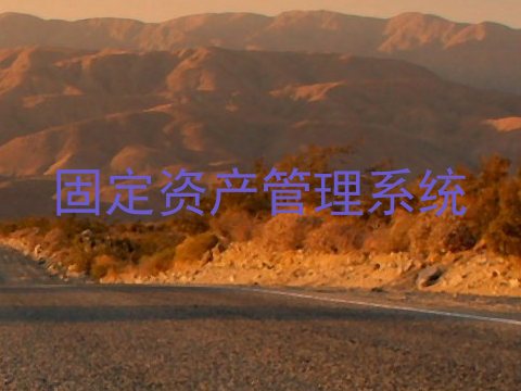 固定资产管理系统