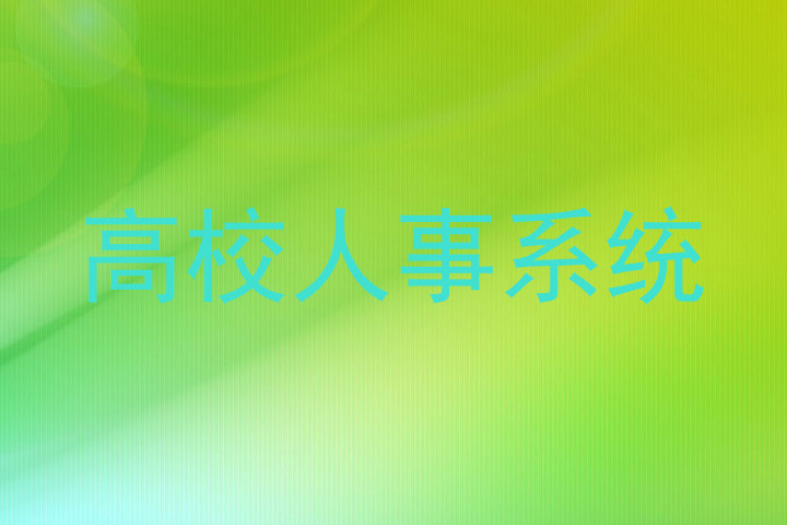 高校人事系统