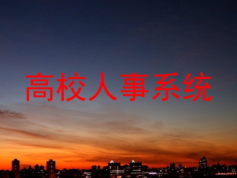 高校人事系统